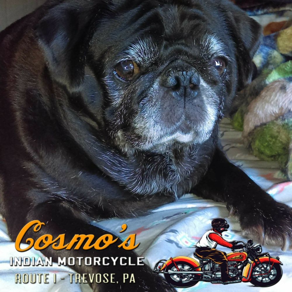 Meet your Posher, Lee